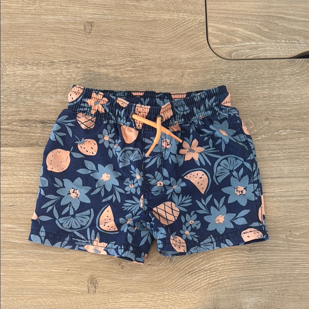 Carter's Blue and Pink Floral Kids Shorts 18 MONTHS